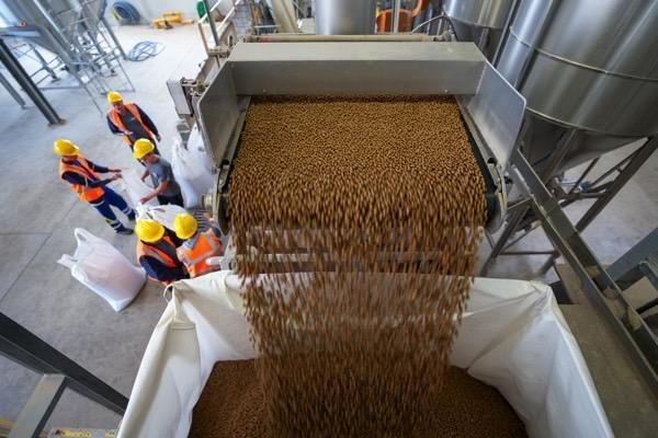Animal Feed